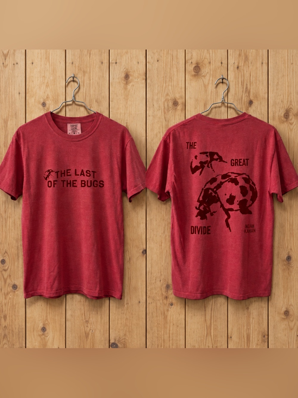 Comfort Colors Noah Kahan The Last Of The Bugs The Great Divide Ladybug Red T-Sh